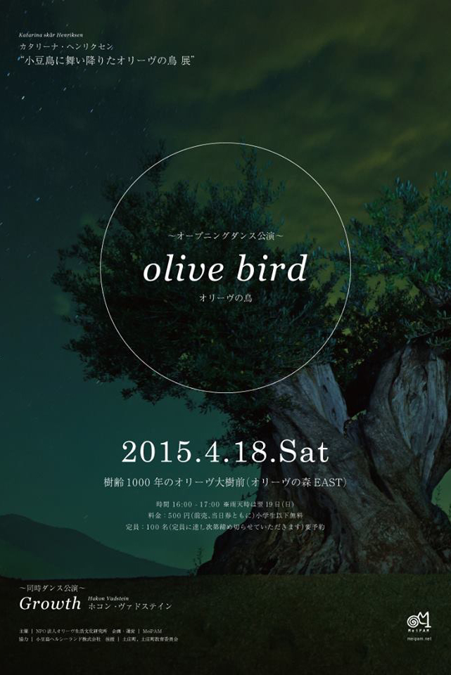 Pilemon Mukarno Olivebird_22