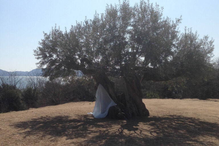 Pilemon Mukarno Olivebird_02