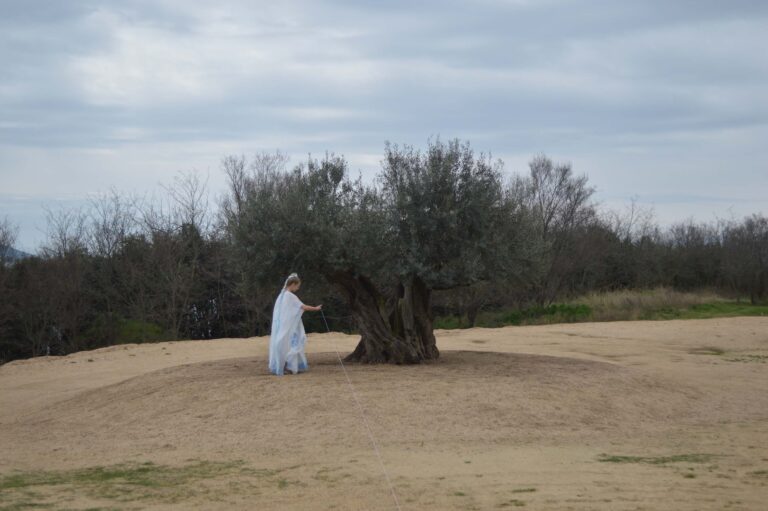 Pilemon Mukarno Olivebird_13